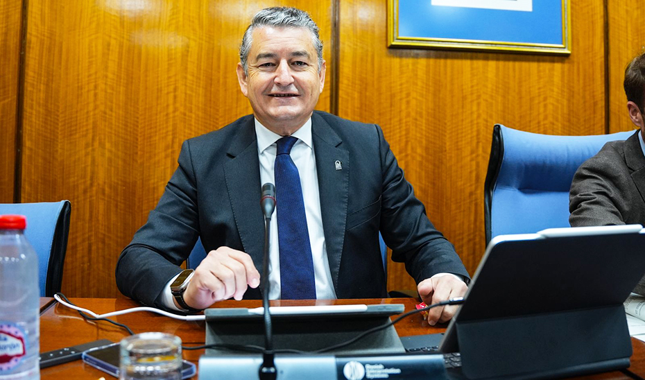 
			      El consejero, Antonio Sanz, en Comisión parlamentaria			    
			  